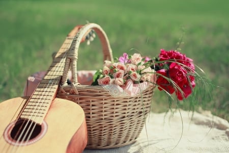 Sweet Summer Music - cloth, guitar, music, flowers, basket, grass, wicker