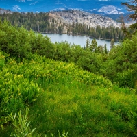 Yosemite National Park