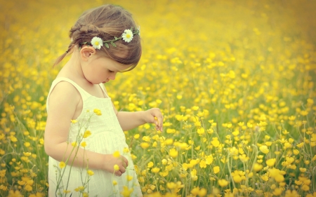 Little girl - girl, fetita, child, summer, field, copil, yellow, flower, little