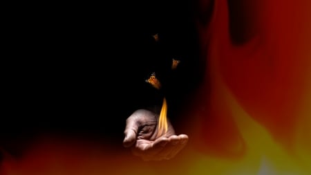 Fire - butterfly, background, hand, fire