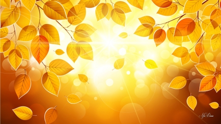 Sunshine in Birch Tree - fall, birch, aspen, autumn, bright, sunshine, leaves