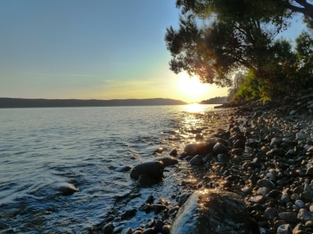 Beach Sunset - reflection, beach, trees, stone, sunset, nature