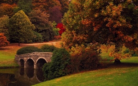 forest tressle - fun, bridges, nature, forest, cool, architecture