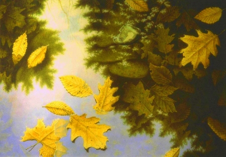 Reflections of Fall - water, paintings, colors, leaves, autumn beauty, fall, nature, autumn, love four seasons, draw and paint