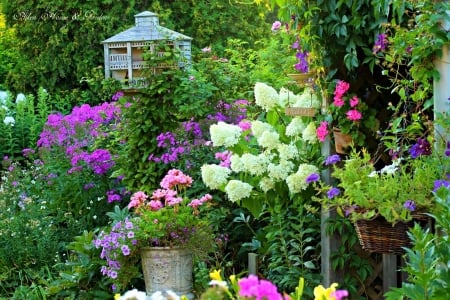 Aiken Gardens - usa, blossoms, plants, colors, birds house