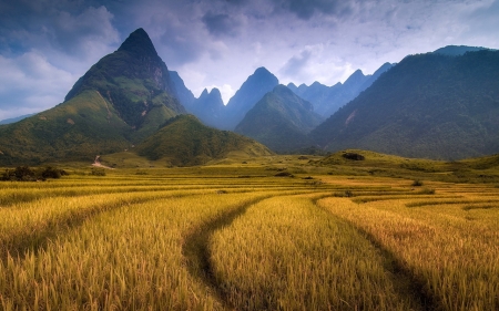 Sharp mountains - Grass, Cloud, Nature, Mountain, Sky