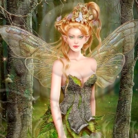 Beautiful Fairy