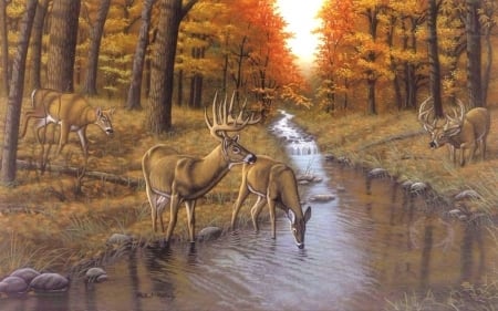 Symond's Creek - attractions in dreams, autumn, forests, draw and paint, animals, deer, creek, autumn beauty, love four seasons, fall, paintings