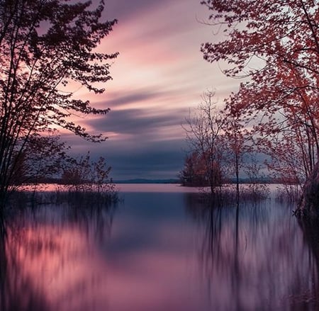 Beautiful Lake - Trees, Water, Lake, Nature