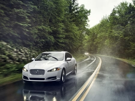 jaguar xf awd - road, jaguar, british, tree, mountain