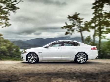 jaguar xf awd - jaguar, british, mountain, tree