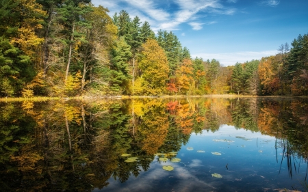 autumn reflection - lake, tree, autumn, reflection