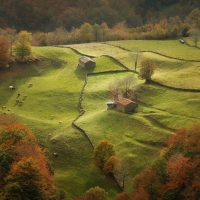 Village