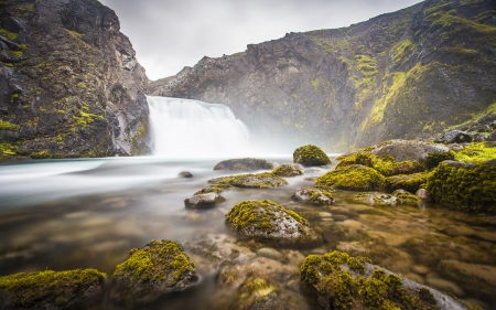 Waterfall - nature, tree, forest, waterfall