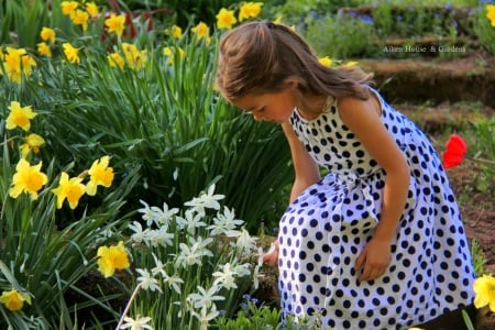 Wonder of Spring - blossoms, garden, flower, petals, daffodils, girl