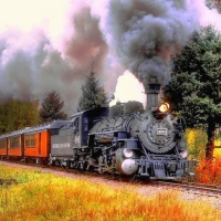 Autumn train