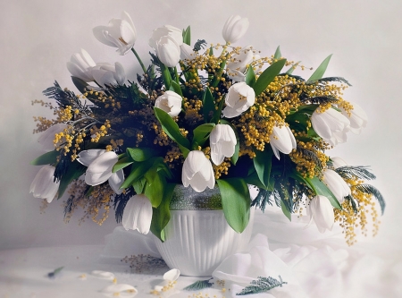 Still Life - flowers, white, tulipe, still life