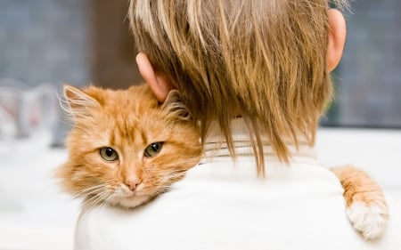 My boy - paw, cat, blond, child, ginger, white, boy, animal, orange