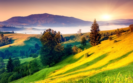 sunrise over a foggy valley - hills, fog, grass, morning, mountains, valley