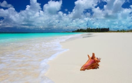 Beach - nature, sky, beach, cloud