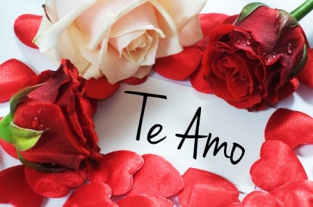 te amo - amor, red, love, rosa