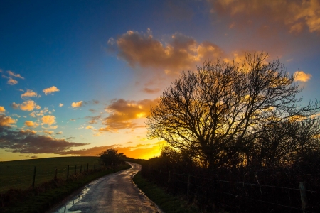 The Sky - clouds, trees, sunset, nature, road, silhouette, sky, way