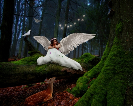 Angel - forest, deer, woman, angel