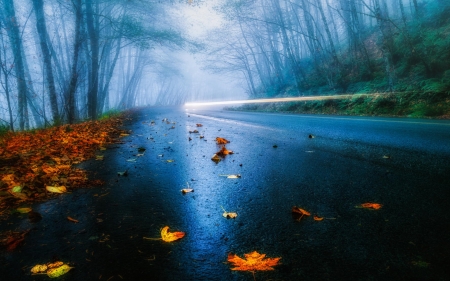 misty autumn road in long exposure - long exposure, autumn, lights, mist, road, forest