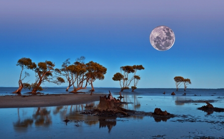 moon landscape in namibia africa - lake, full, evening, moon, trees