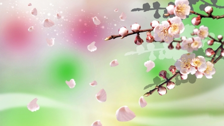 Spring - flower, pink, petals, spring, blossom, cherry, branch, green