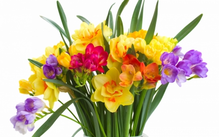 Freesias - yellow, freesia, spring, flower, pink, bouquet, white, purple, green