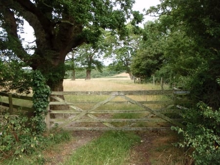 The Gate - Shalfleet, Shade, Isle of Wight, Gate