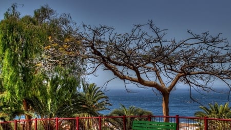 ocean view from terrace hdr - trees, hdr, bench, terrace, ocean