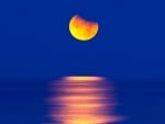 orange moon in blue sky