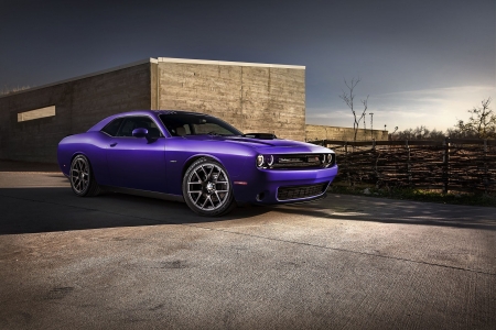 2016-Dodge-Challenger-Plum-Crazy - mopar, purple, 2016, plum