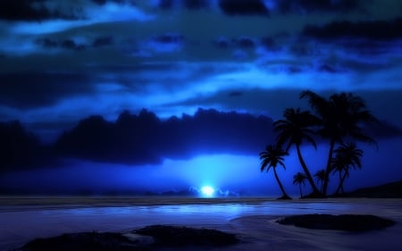 palm trees silhouettes at night - moon, trees, silhoueetes, brach, sea, night