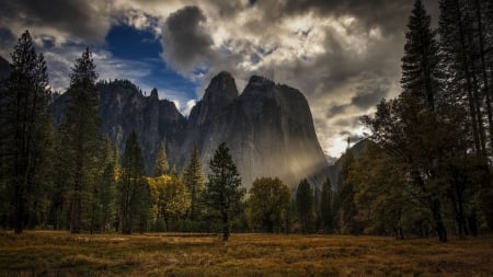 magnificent landscape in yosemite park hdr - clouds, trees, hdr, cliffs, grass, mountains