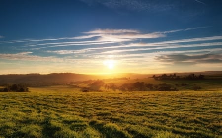 Nature - nature, tree, sunset, grass