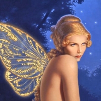 Beautiful Fairy