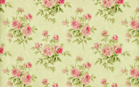 Texture - paper, flower, pattern, rose, pink, texture, green