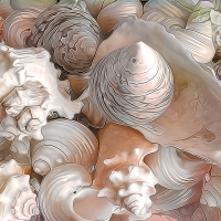 Shells