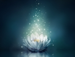 Magical lotus