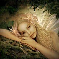 Lovely Fairy