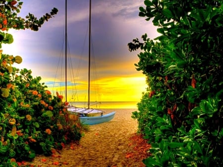 Beach Sunset - clouds, boat, beach, trees, sunset, nature