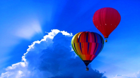 hot air balloons - skies, hot air balloons, clouds, summer