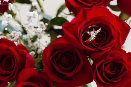 Beautiful - flowers, roses, nature, gifts, red, ring