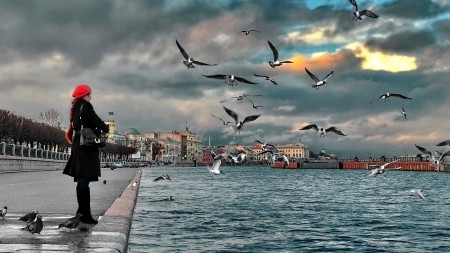 Neva Sankt Petersburg - russia, bird, water, blue, girl, sankt petersburg, black, neva, red, seagull, cloud, sky