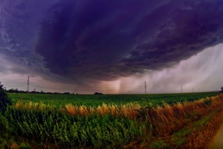 STORMY CLOUDS - storm, clouds, wheat, grass, field, sky