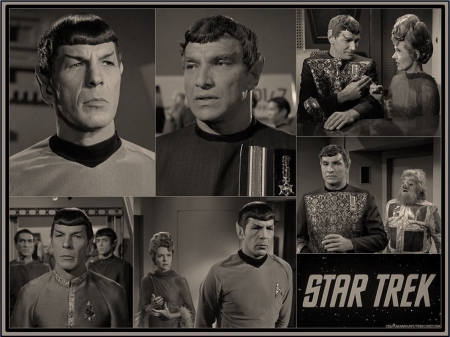 Spock's Family - sarek, star trek, amanda, spock, journey to babel