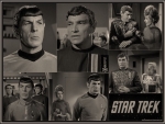 Spock's Family